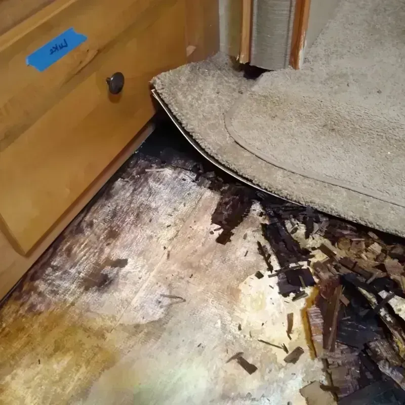 Best Wood Floor Water Damage Service in Carroll Valley, PA